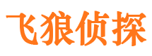 靖西市私家侦探